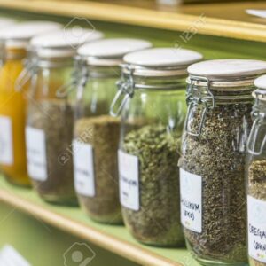 06-JUIN Lundi 22/06 - Atelier créatif : La circulation sanguine