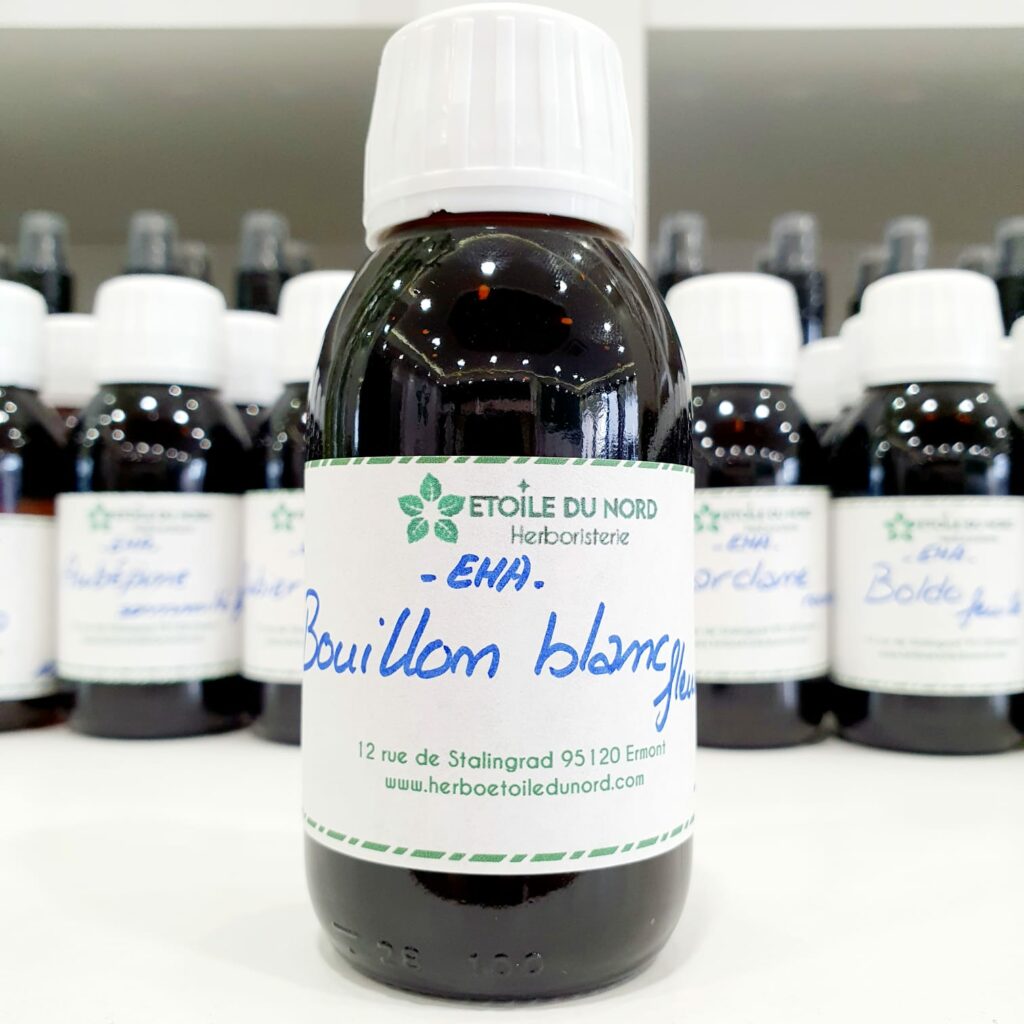 EHA Bouillon Blanc fleur Herboristerie Etoile du Nord Boutique en ligne