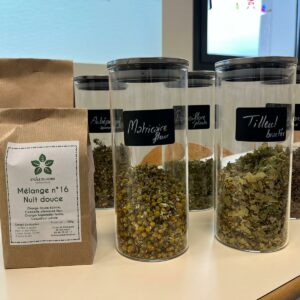 Atelier-Création : Les plantes de l'hiver - Dimanche 18 janvier 2026